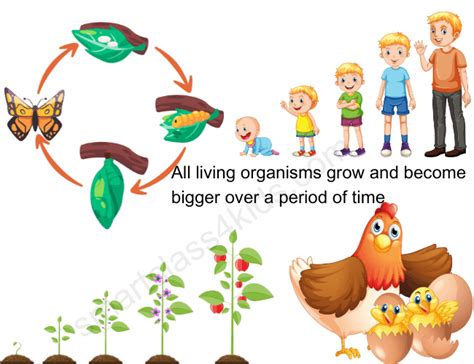 17,584,686 Living Organism Pictures .